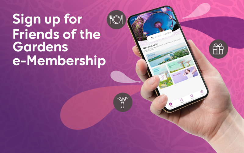 Friends of the Gardens